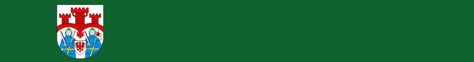 Bild: Logo Stadt Friedland